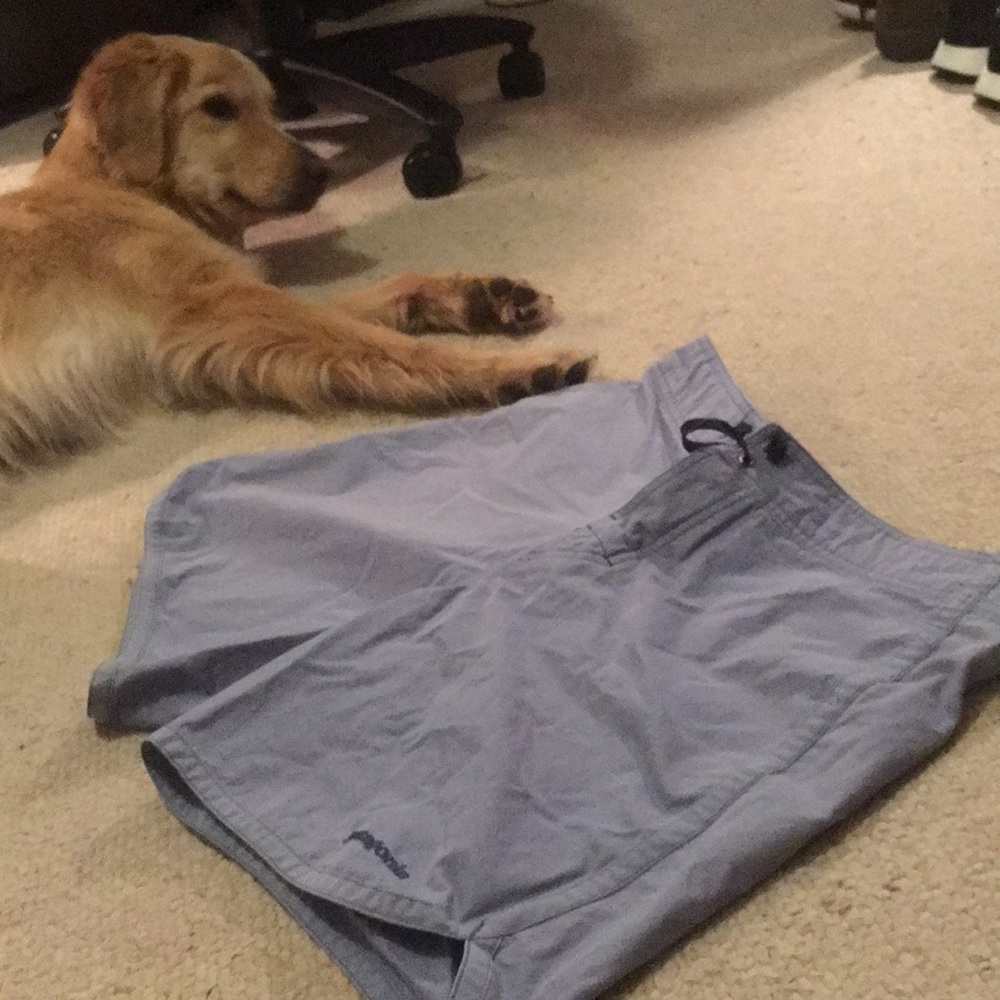 Patagonia Wavefarer scallop hem board swim shorts